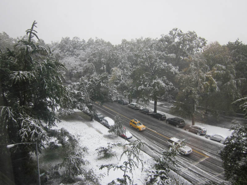 October Snow from 5th Floor (2011)