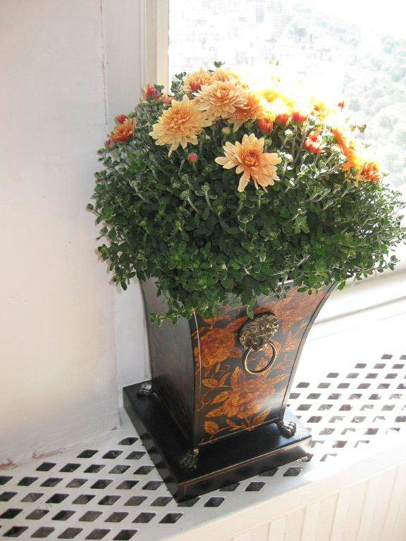 5. MasterApts 5. MasterApts